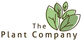 The Plant Company Store
