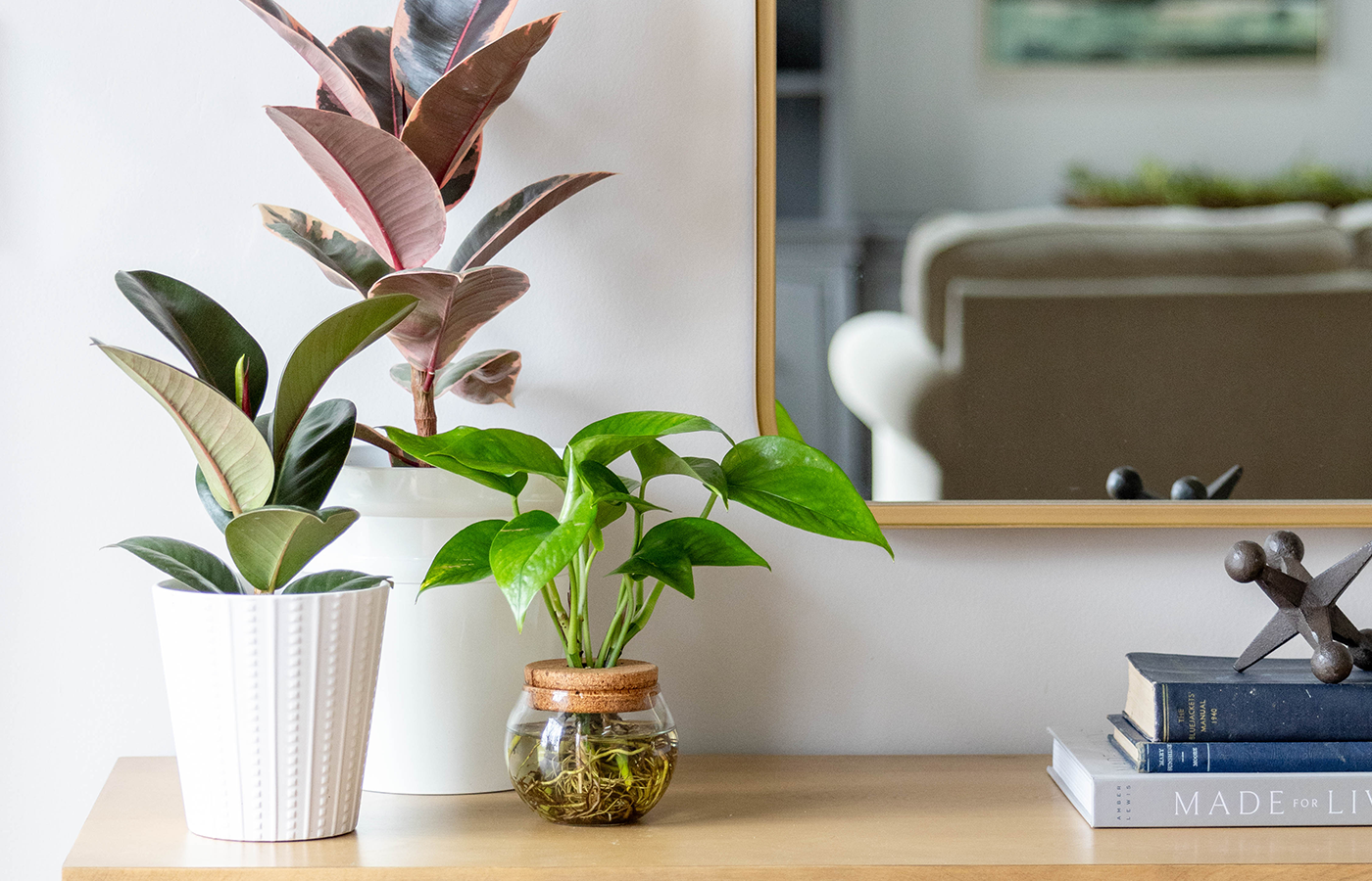 Atriums® – The Plant Company Store