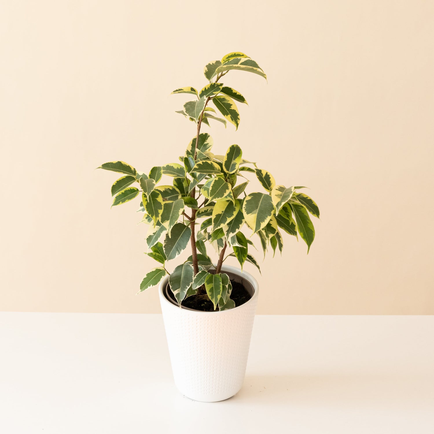 Cling-On® Over the Edge™