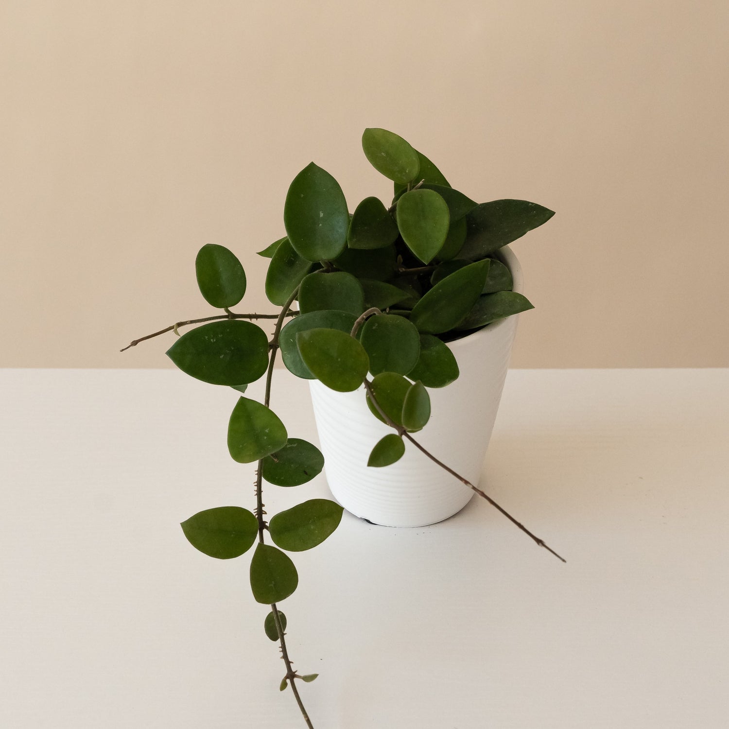 Endless Cascades™ Chouke