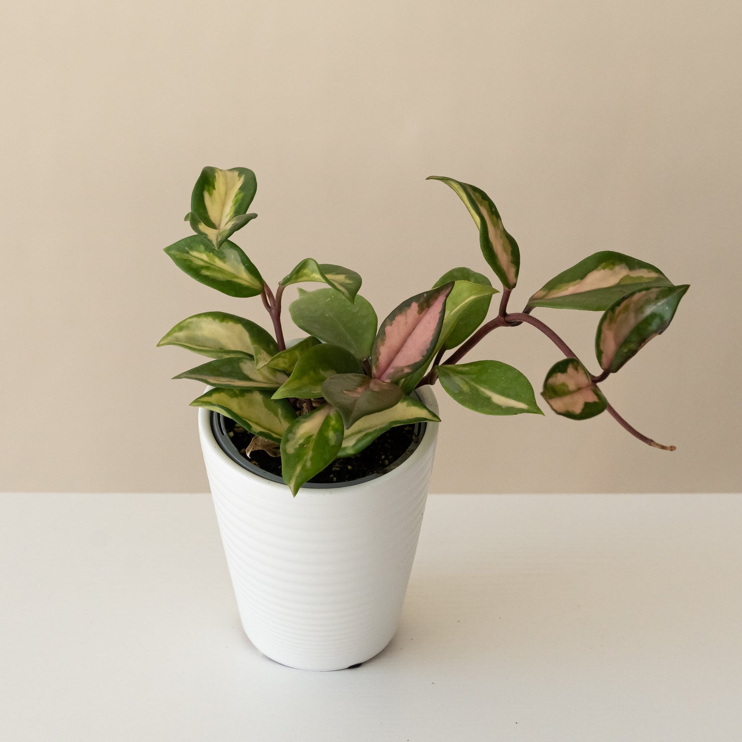 Endless Cascades™ Green Light™