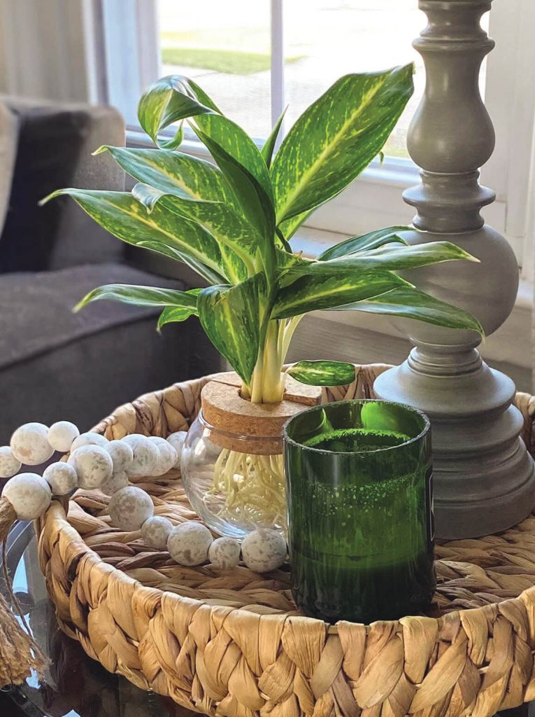 A wicker tray features a potted plant alongside a glass of water, showcasing a simple, refreshing arrangement.