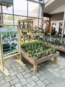 A large outdoor garden showcasing a variety of plants and flowers on display in a vibrant, natural setting.