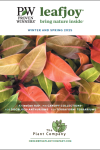 2025 Winter leafjoy Catalog