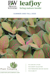 Catalog Screen Shot Cover