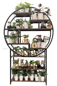 Deco Display Bundle - Growers Choice 3