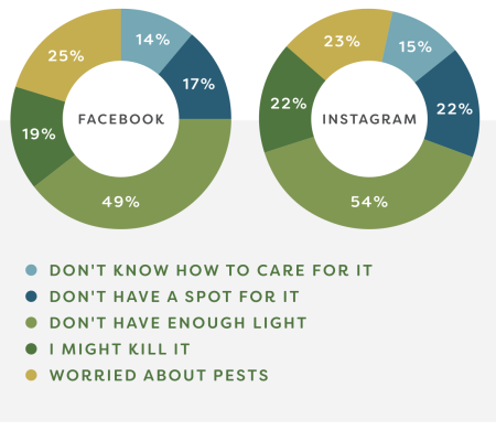 Two donut charts comparing reasons why people avoid getting plants, based on responses from Facebook and Instagram. The largest segment in both charts is 'Don't have enough light'—49% on Facebook and 54% on Instagram. Other reasons include 'I might kill it' (25% Facebook, 23% Instagram), 'Don't have a spot for it' (19% Facebook, 22% Instagram), 'Don't know how to care for it' (14% Facebook, 15% Instagram), and 'Worried about pests' (17% Facebook, 22% Instagram). Each reason is represented by a different color in the chart legend below.