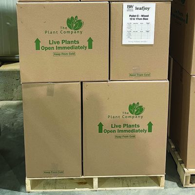 A large stack of boxes topped with green plants, creating a vibrant and organized display.
